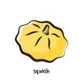 Yellow squash icon in cartoon flat style with outline. Squash isolated on black background. Vector. Royalty Free Stock Photo