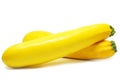 Yellow squash isolated Royalty Free Stock Photo