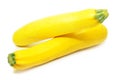 Yellow squash isolated Royalty Free Stock Photo