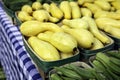 Yellow squash in a vegetable display Royalty Free Stock Photo