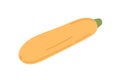 Yellow squash vegetable. Zucchini icon. Courgette plant. Summer zuchini veggie. Flat vector illustration of raw food