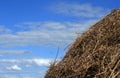 Yellow stack of straw Royalty Free Stock Photo