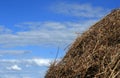 Yellow stack of straw