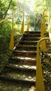 Yellow staircase in autumn empty park