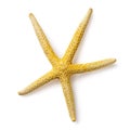 Yellow starfish isolated on white background, top view Royalty Free Stock Photo