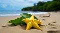 Vibrant Starfruit: A Captivating Beachscape With Tropical Symbolism Royalty Free Stock Photo