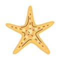 yellow starfish sealife Royalty Free Stock Photo