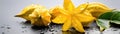 Yellow Starfruits With Droplets Standing On A White Matte Background Panoramic Banner. Generative AI Royalty Free Stock Photo