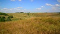 Yellow Steed at end of August in Russia