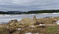 Yellow stones on river shore