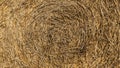 Yellow straw background texture. Dried grass background. Gold hay Royalty Free Stock Photo
