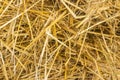 Yellow straw background texture, thatch heap, dried grass texture, hay Royalty Free Stock Photo