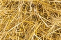 Yellow straw background texture, thatch heap, dried grass texture, hay Royalty Free Stock Photo