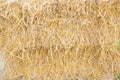 Yellow straw bale wall