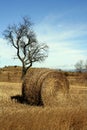 Yellow straw round bale in the fields, Spain