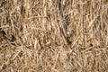 Yellow straw texture closeup on a hot summer day Royalty Free Stock Photo