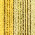 Yellow Stripe Carpet