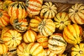 Yellow striped carnival dumpling squash