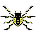 Yellow striped spider. vector illustration. Drawing by hand. Royalty Free Stock Photo