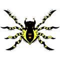 Yellow striped spider. vector illustration. Drawing by hand. Royalty Free Stock Photo