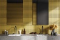 Yellow stylish bathroom interior with double sink and accessories with mirrors