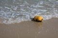 Yellow Styrofoam buoys, water level symbols installed on a beach in Thailand.