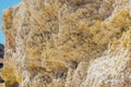 Yellow sulfur crystals in the Nisyros volcano crater.