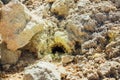 Yellow sulfur crystals at Nisyros volcano Royalty Free Stock Photo