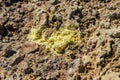 Yellow sulfur crystals at Nisyros volcano Royalty Free Stock Photo