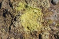 Yellow sulfur crystals at Nisyros volcano Royalty Free Stock Photo