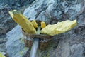 yellow sulfur inside woven bamboo basket at volcanic crater Kawah Ijen Royalty Free Stock Photo