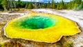 Yellow sulfur mineral deposits around the green and turquoise waters of the Morning Glory Pool in Yellowstone
