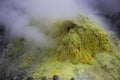 Yellow Sulphur smoking at Sulfur Mountain