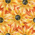 Yellow sunflower with black center watercolor isolated single element Royalty Free Stock Photo