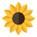 Yellow Sunflower Flat Icon Isolated on White