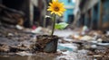 a yellow sunflower growing in a pot on a dirty street