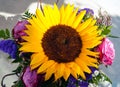 A yellow sunflower Helianthus annuus in the middle of a bouquet of colourful flowers