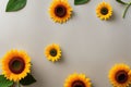 Yellow Sunflower Inflorescence: Beauty and Fragility in Fresh Nature. Generative Ai