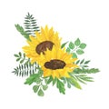 Yellow sunflower, leaves arrangement watercolor hand drawn floral illustration, summer field agricultural plant, flower and leaf, Royalty Free Stock Photo