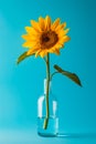 Yellow sunflower sits in small glass vase filled with water. Generative AI Royalty Free Stock Photo