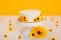 Yellow Sunflower Themed Cake Smash Royalty Free Stock Photo