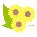 Yellow sunflowers, green leafs for decorated on white