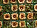 Sunflowers van gogh gaudy capricho Royalty Free Stock Photo