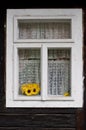 Yellow sunflowers in a window Royalty Free Stock Photo