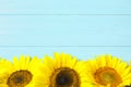 Yellow sunflowers on wooden background Royalty Free Stock Photo