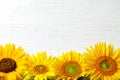 Yellow sunflowers on wooden background, Royalty Free Stock Photo