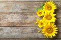 Yellow sunflowers on wooden background Royalty Free Stock Photo