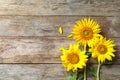 Yellow sunflowers on wooden background, Royalty Free Stock Photo