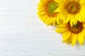 Yellow sunflowers on wooden background Royalty Free Stock Photo