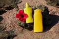 Yellow sunscreen cream bottles for skin protection with a red Hibiscus flower on a stone Royalty Free Stock Photo